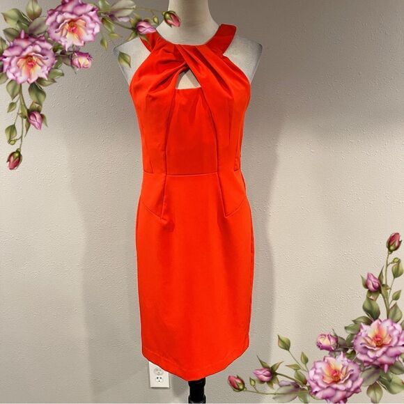 Sharagano Elegant blood Orange Sleeveless Dress business style size 4 - Picture 1 of 15